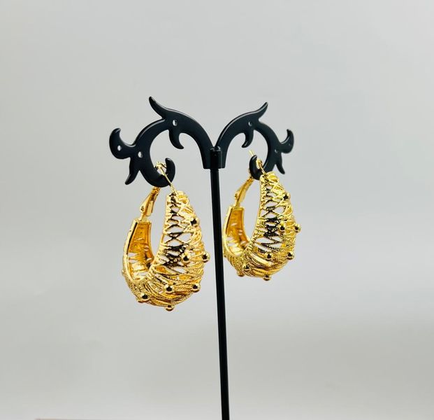 Hoops earrings